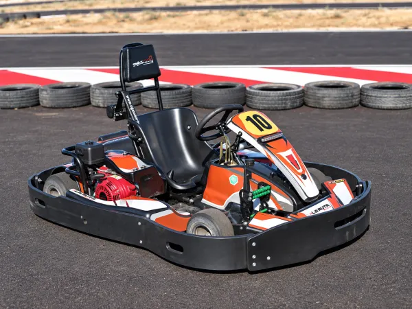Kart EK29