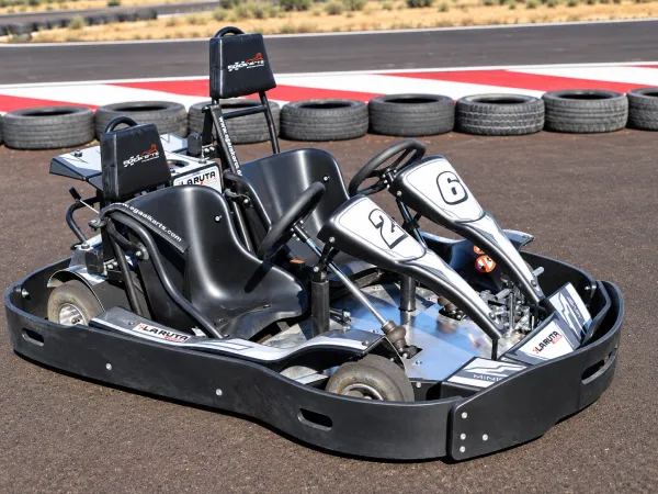 Kart Mini-Bi
